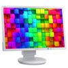 Nec EA222W